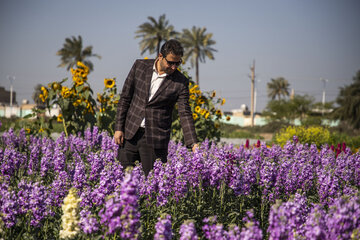 Recolección de flores en Hamidiye