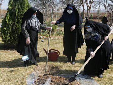 امام جمعه شیراز: تشکل‌های بانوان در طرح ملی کاشت درخت مشارکت کنند