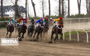 Günbed-i Kavus Kış At Yarışları'ndan kareler