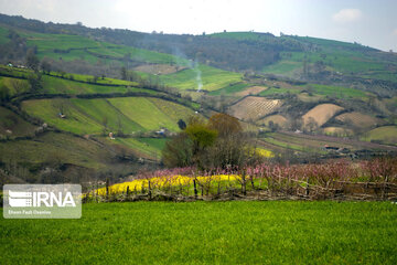 Primavera en Mazandarán 