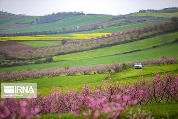 Primavera en Mazandarán 