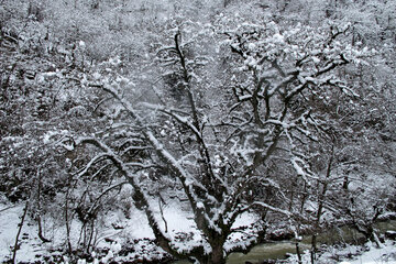 伊朗吉兰省村庄迎来春雪风景美如画