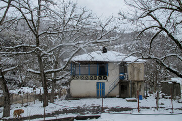 伊朗吉兰省村庄迎来春雪风景美如画