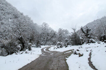 伊朗吉兰省村庄迎来春雪风景美如画