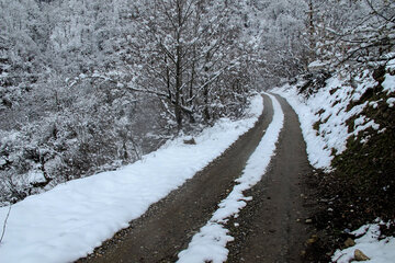 伊朗吉兰省村庄迎来春雪风景美如画