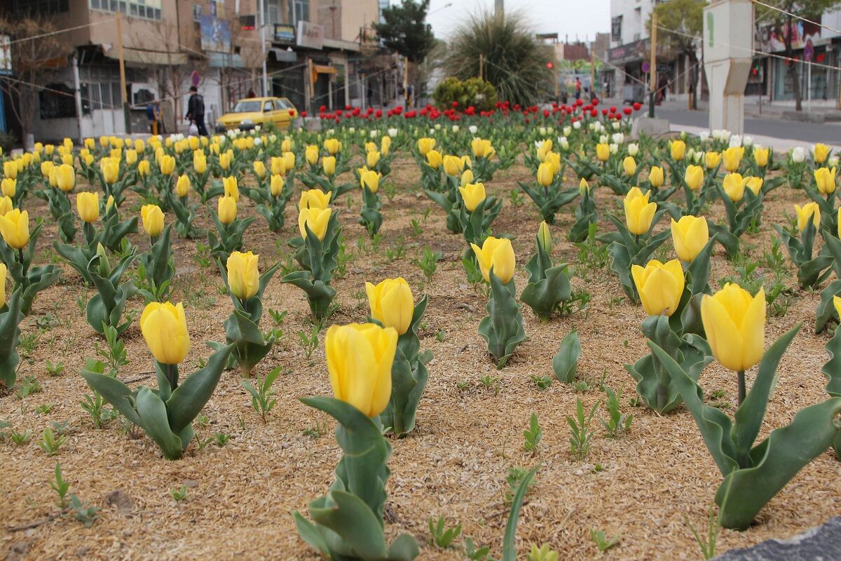 ۱۲ نماد نوروزی در شهر بیرجند رونمایی می‌شود