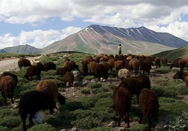 منابع طبیعی دامنه کوه سهند در معرض نابودی