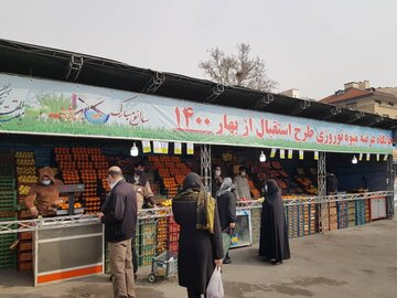 بازرسان در فارس بر عرضه میوه تنظیم بازار نظارت می‌کنند