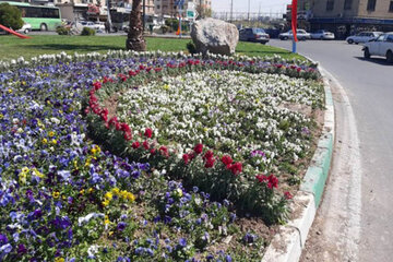 سیمای شهری منطقه ۲۰ تهران در آستانه سال نو  بهاری می‌شود