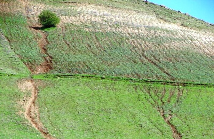 دستاورد تغییر کاربری زمین‌های شیب‌دار برای توسعه گلستان