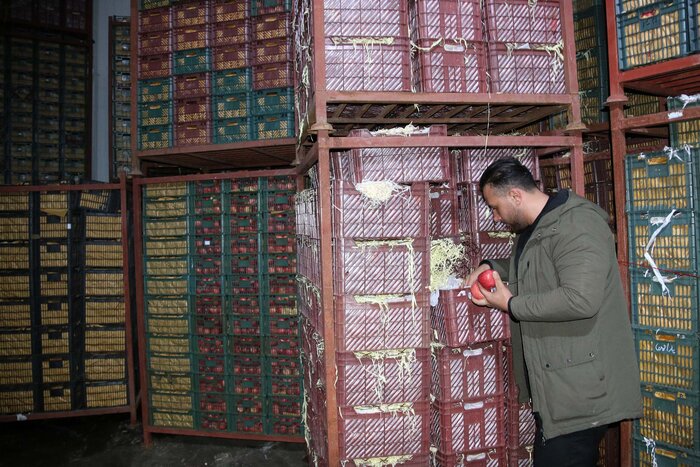 بازارهای موازی عرضه کالا، ابزار مهار قیمت‌ها در زنجان