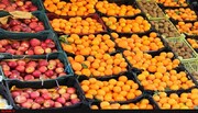 توزیع میوه تنظیم بازار شب‌ عید از امروز در ایلام آغاز شد