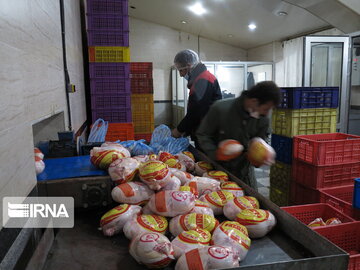 روزانه ۱۵۰ تن گوشت مرغ در یزد توزیع می‌شود 