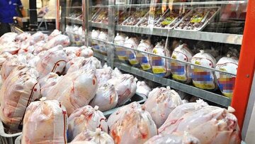 امسال سه‌پنجم گوشت مرغ تولیدی سمنان به خارج از استان ارسال شد