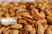 Irán exportó 120 mil toneladas de pistachos en los últimos 6 meses