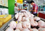 صف‌ خرید گوشت مرغ در مشهد شکست