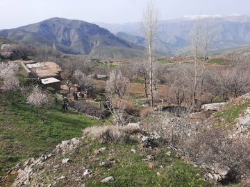 طبیعت زیبای یکی از روستاهای مرزی سردشت در آغاز فصل بهار