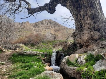 طبیعت زیبای یکی از روستاهای مرزی سردشت در آغاز فصل بهار