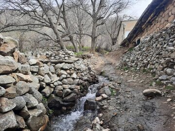 طبیعت زیبای یکی از روستاهای مرزی سردشت در آغاز فصل بهار