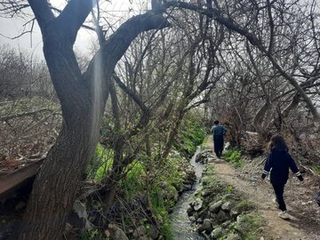 طبیعت زیبای یکی از روستاهای مرزی سردشت در آغاز فصل بهار