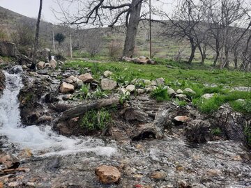 طبیعت زیبای یکی از روستاهای مرزی سردشت در آغاز فصل بهار