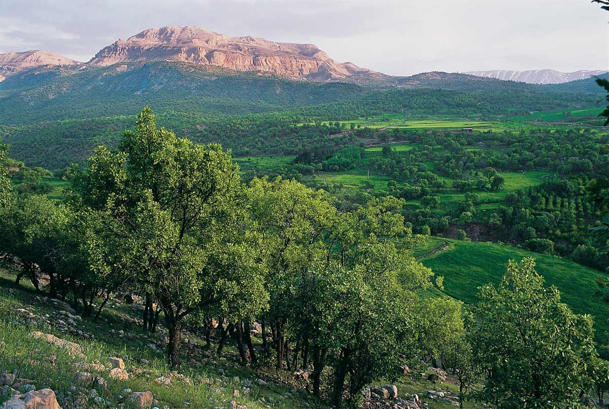 پنج طرح توسعه گردشگری در لرستان اجرا می‌شود