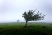 هواشناسی آسمانی صاف همراه با وزش باد را برای همدان پیش بینی کرد