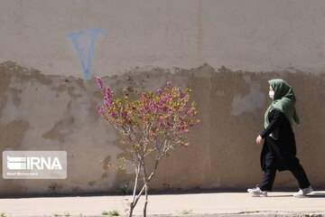 Iran : un printemps aux couleurs poétiques du pourpre à Semnan au centre