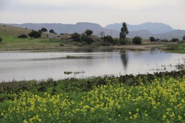 Humedal de Abzalu, en el suroeste de Irán