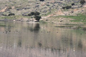 Humedal de Abzalu, en el suroeste de Irán