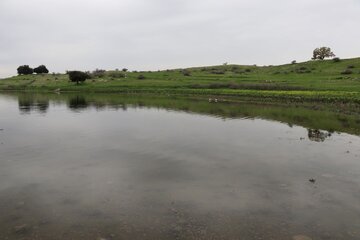 Humedal de Abzalu, en el suroeste de Irán