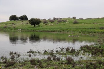 Humedal de Abzalu, en el suroeste de Irán