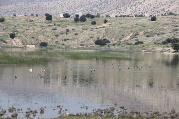 Humedal de Abzalu, en el suroeste de Irán