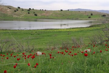 Humedal de Abzalu, en el suroeste de Irán