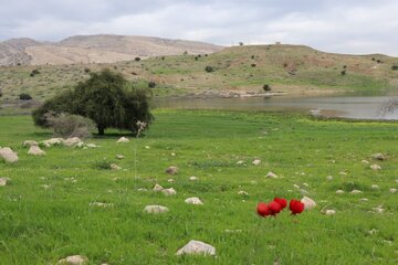 Humedal de Abzalu, en el suroeste de Irán