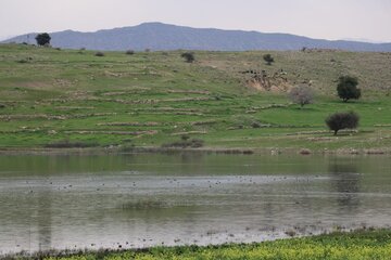 Humedal de Abzalu, en el suroeste de Irán