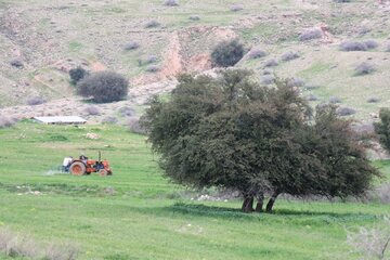 Humedal de Abzalu, en el suroeste de Irán