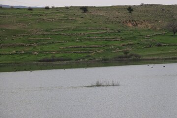 Humedal de Abzalu, en el suroeste de Irán