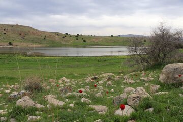 Humedal de Abzalu, en el suroeste de Irán