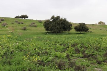 Humedal de Abzalu, en el suroeste de Irán