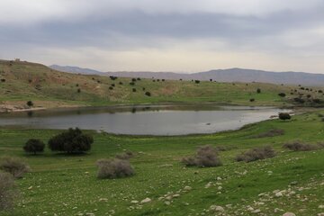 Humedal de Abzalu, en el suroeste de Irán