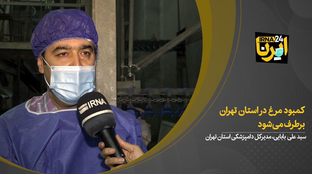 کمبود مرغ در استان تهران برطرف می‌شود