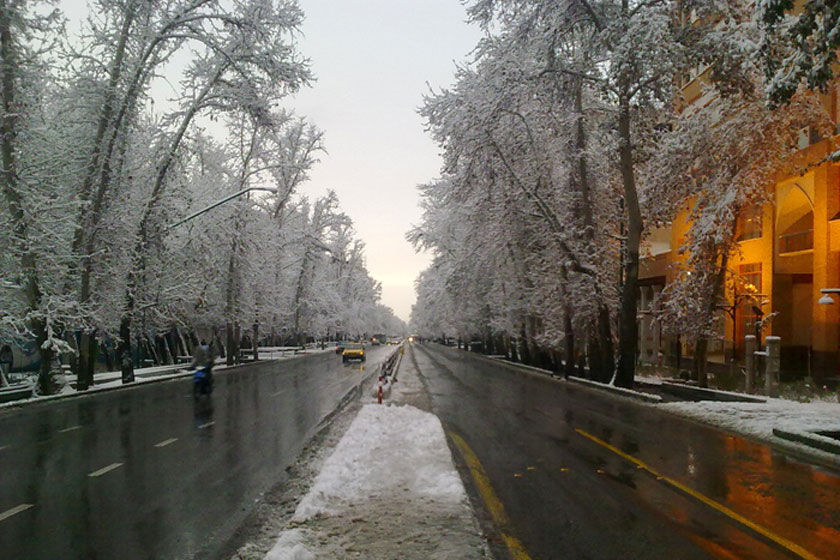 آخرین خبر از ثبت جهانی خیابان ولیعصر(عج) پایتخت