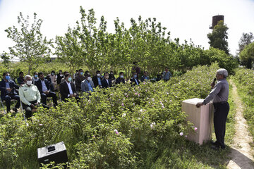 سومین جشنواره گلاب گیری در زابل