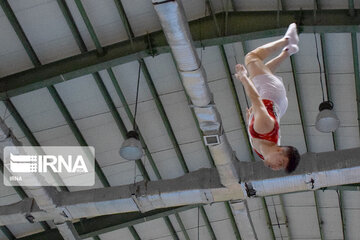 Iran's nat'l trampoline gymnastics team