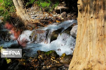 Spring nature of Iran’s Vameqabad