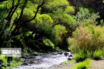 Spring nature of Iran’s Vameqabad