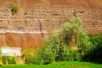 Spring nature of Iran’s Vameqabad