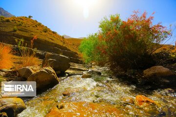 Spring nature of Iran’s Vameqabad