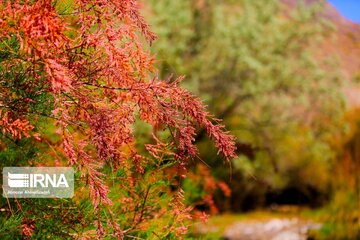 Spring nature of Iran’s Vameqabad